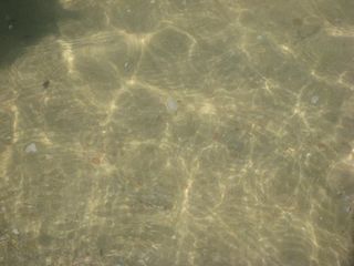 IMG_4937.JPG