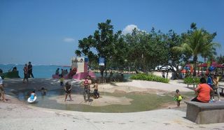 IMG_4982.JPG